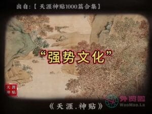 《强势文化》天涯神贴绝版视频合集042在线观看-外贸啦