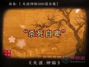 《杀死自卑》天涯神贴绝版视频合集052在线观看-外贸啦