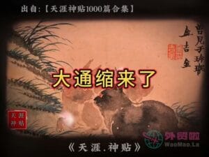 《大通缩来了》天涯神贴绝版视频合集141在线观看-外贸啦