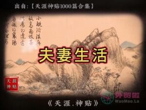 《夫妻生活》天涯神贴绝版视频合集155在线观看-外贸啦