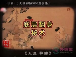 《底层翻身秘术》天涯神贴绝版视频合集019在线观看-外贸啦