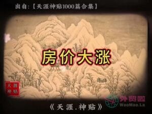 《房价大涨》天涯神贴绝版视频合集082在线观看-外贸啦