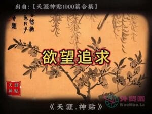 《欲望追求》天涯神贴绝版视频合集156在线观看-外贸啦