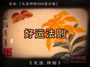 《好运法则》天涯神贴绝版视频合集109在线观看-外贸啦