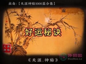 《好运秘诀》天涯神贴绝版视频合集145在线观看-外贸啦