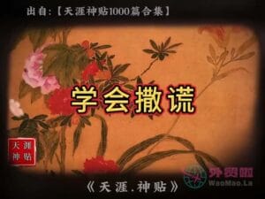 《学会撒谎》天涯神贴绝版视频合集131在线观看-外贸啦