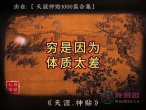 《穷是因为体质太差》天涯神贴绝版视频合集136在线观看-外贸啦