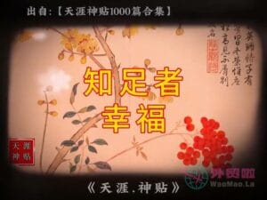 《知足者幸福》天涯神贴绝版视频合集153在线观看-外贸啦