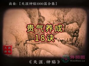 《贵气养成18诀》天涯神贴绝版视频合集175在线观看-外贸啦