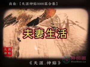 《夫妻生活》天涯神贴绝版视频合集189在线观看-外贸啦