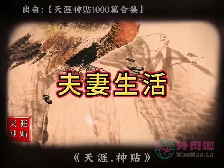 《夫妻生活》天涯神贴绝版视频合集189在线观看-外贸啦