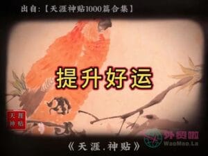 《提升好运》天涯神贴绝版视频合集192在线观看-外贸啦