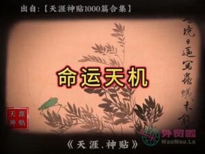 《命运天机》天涯神贴绝版视频合集185在线观看-外贸啦