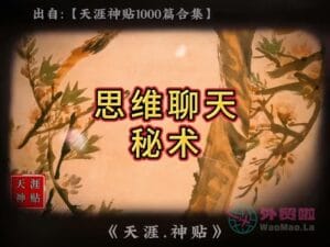 《思维聊天秘术》天涯神贴绝版视频合集195在线观看-外贸啦