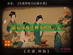 《剩女危机》天涯神贴绝版视频合集169在线观看-外贸啦