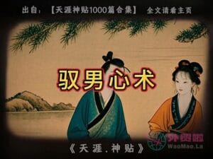 《驭男心术》天涯神贴绝版视频合集190在线观看-外贸啦