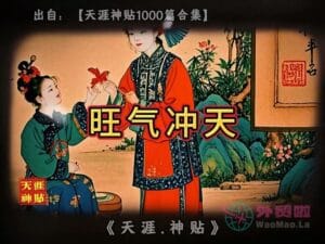 《旺气冲天》天涯神贴绝版视频合集180在线观看-外贸啦