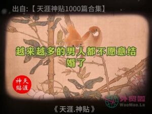 《婚姻深渊》天涯神贴绝版视频合集211在线观看-外贸啦