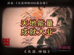 《天地能量成就大业》天涯神贴绝版视频合集188在线观看-外贸啦