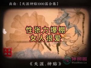 《性张力爆棚女人很爱》天涯神贴绝版视频合集187在线观看-外贸啦