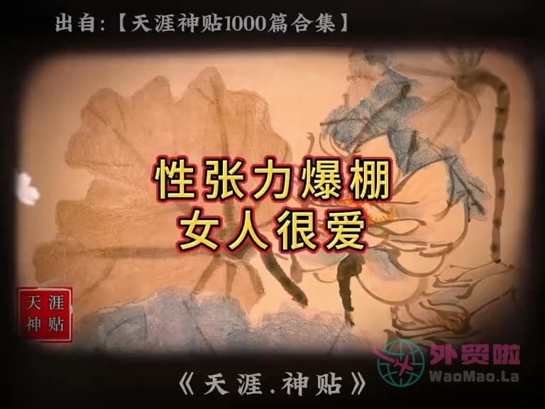 《性张力爆棚女人很爱》天涯神贴绝版视频合集187在线观看-外贸啦