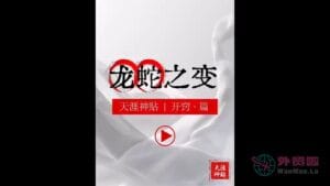 《龙蛇之变》天涯神贴绝版视频合集170在线观看-外贸啦