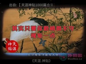 《来财之道》天涯神贴绝版视频合集205在线观看-外贸啦