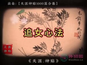 《追女心法》天涯神贴绝版视频合集191在线观看-外贸啦