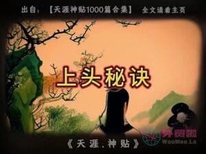 《上头秘诀》天涯神贴绝版视频合集186在线观看-外贸啦