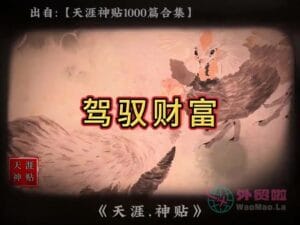 《驾驭财富》天涯神贴绝版视频合集196在线观看-外贸啦