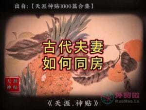 《古代夫妻如何同房》天涯神贴绝版视频合集184在线观看-外贸啦