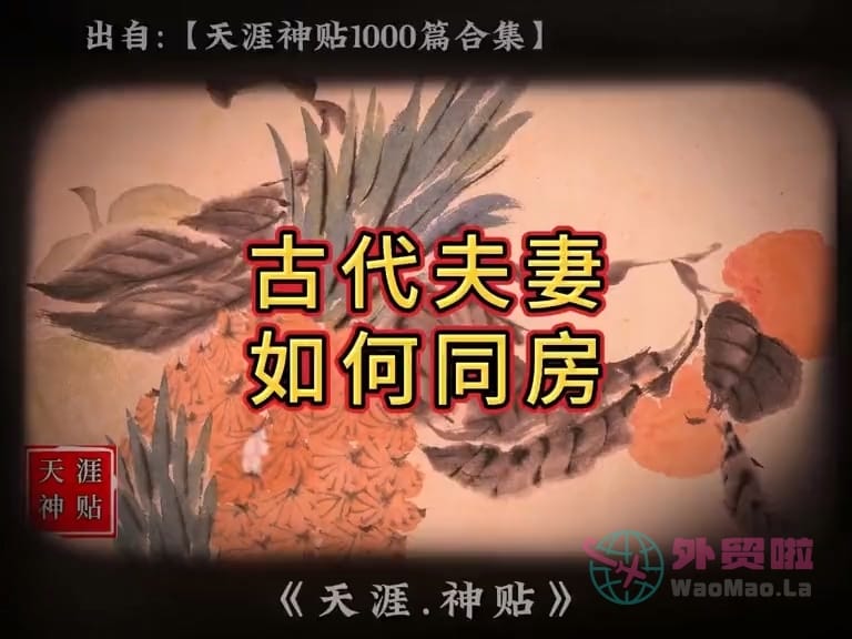 《古代夫妻如何同房》天涯神贴绝版视频合集184在线观看-外贸啦