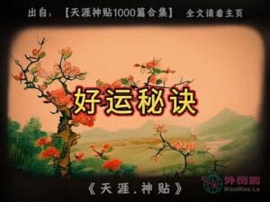 《好运秘诀》天涯神贴绝版视频合集178在线观看-外贸啦