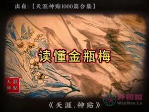 《读懂金瓶梅》天涯神贴绝版视频合集193在线观看-外贸啦