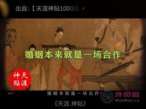 《婚姻的本质》天涯神贴绝版视频合集204在线观看-外贸啦